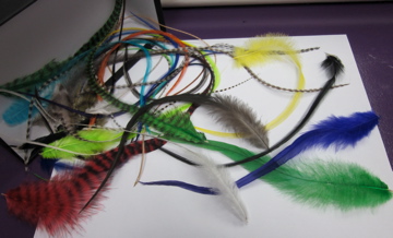 Hair Feathers