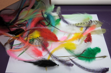 Hair Feathers